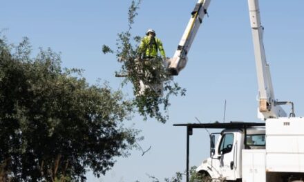 PG&E Is Racing to Stem Increasing Fires Ignited by Its Power Lines